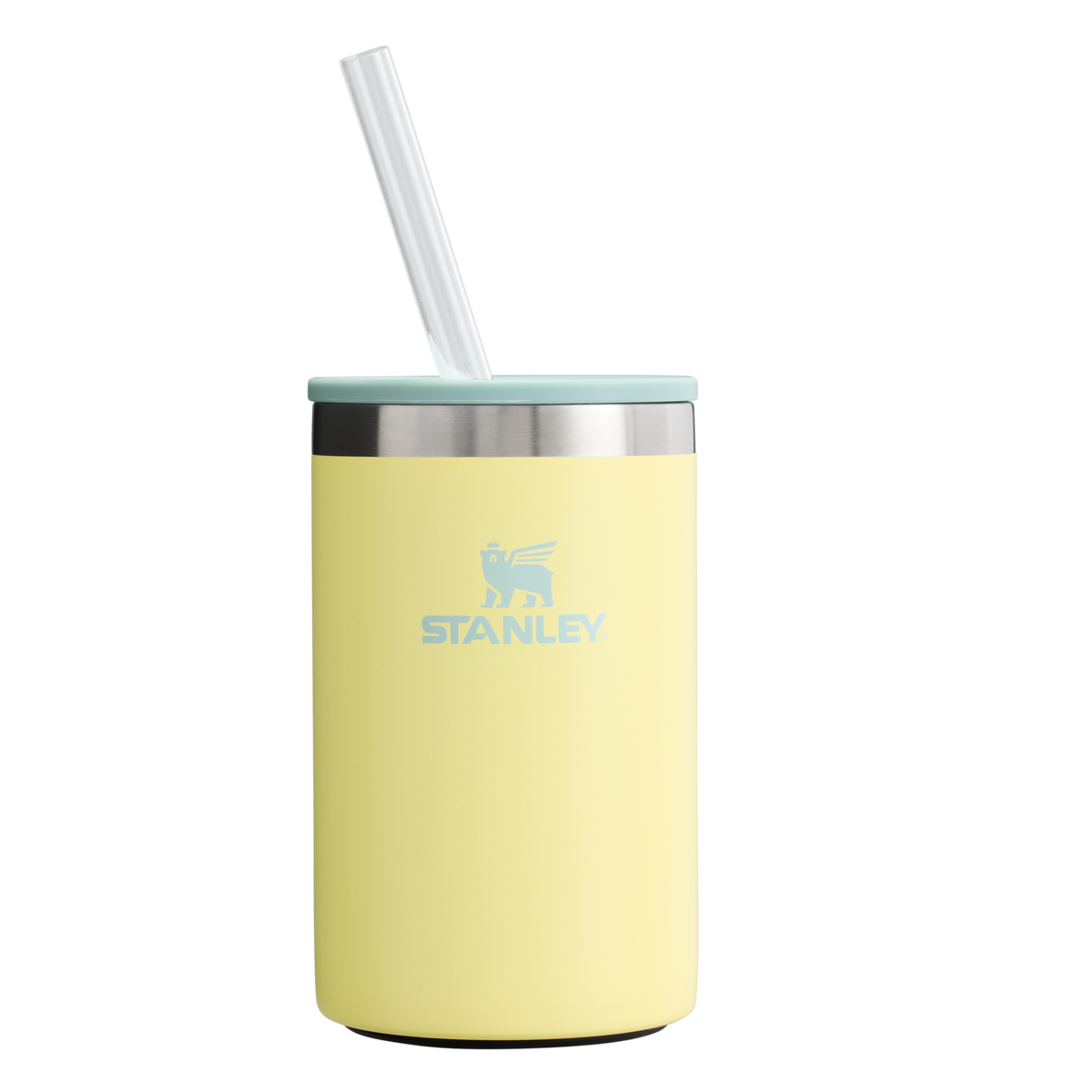 The Everyday Can Cooler Cup